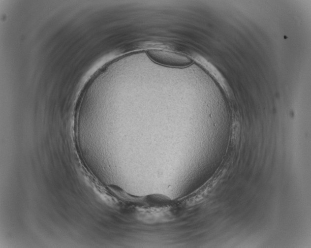 X0000085831051200703301614