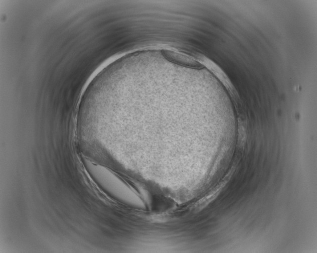 X0000085831052200703301614