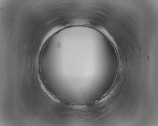 X0000085831053200703301614