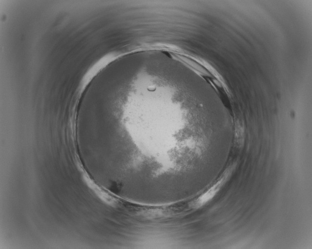 X0000085831054200703301614