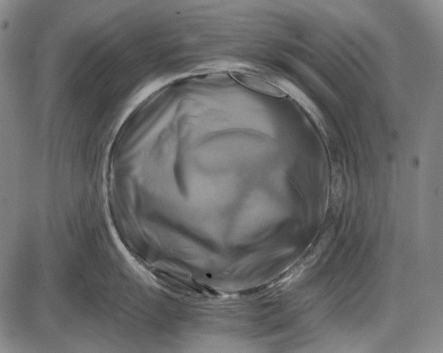 X0000085831055200703301614