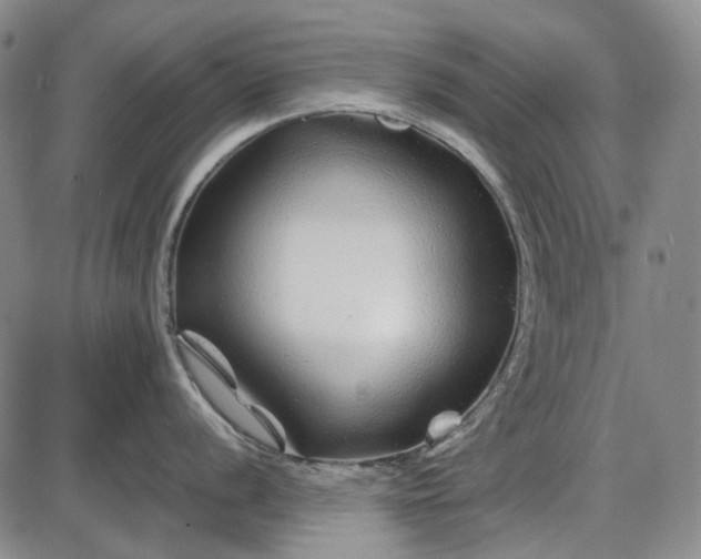 X0000085831056200703301614