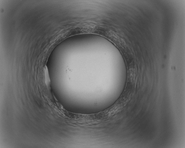 X0000085831057200703301613