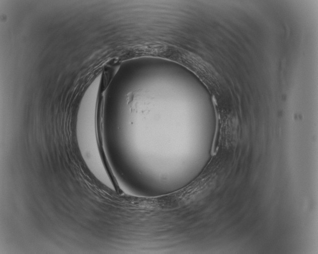 X0000085831058200703301613