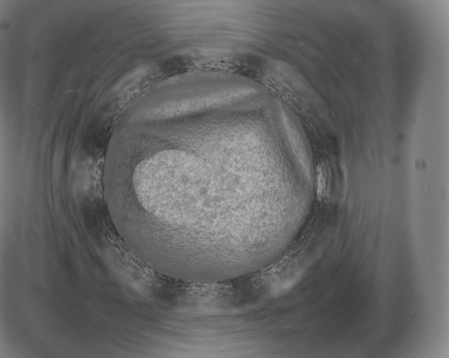 X0000085831059200703301613