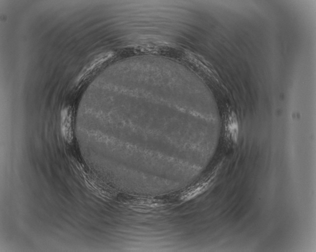 X0000085831060200703301613