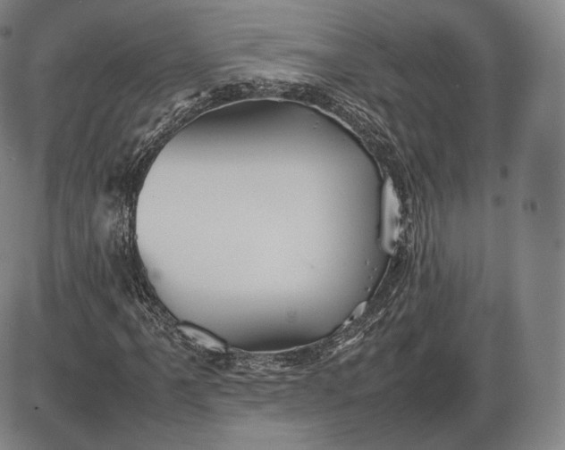 X0000085831061200703301613