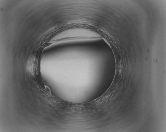 X0000085831062200703301613