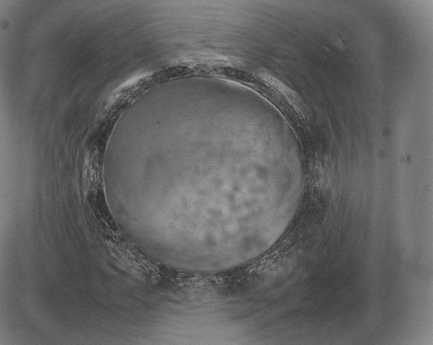 X0000085831063200703301613