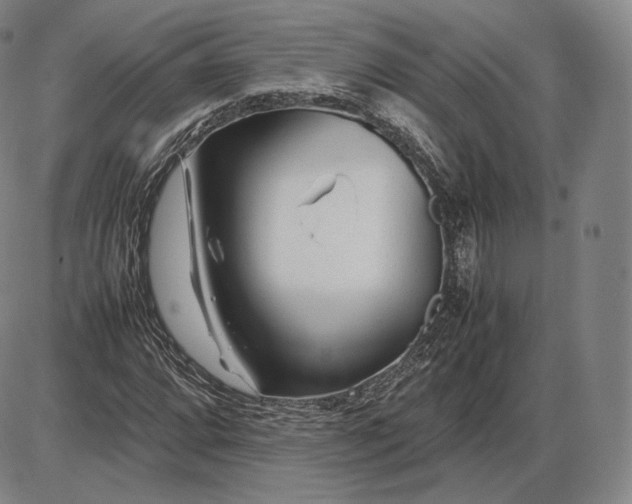 X0000085831064200703301613