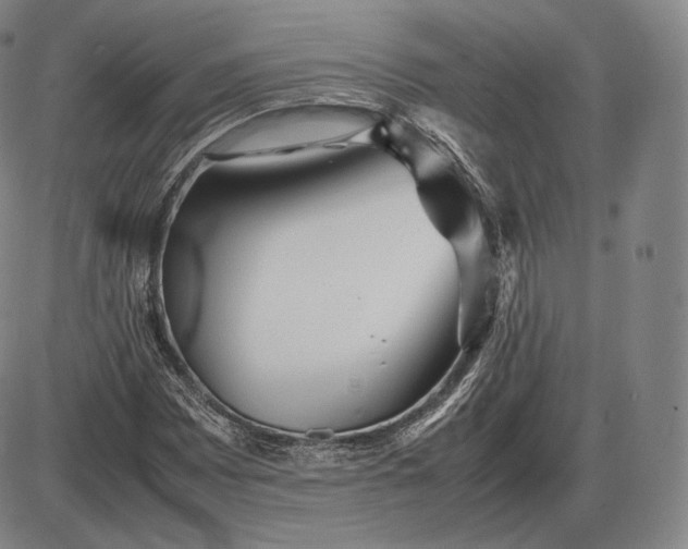 X0000085831065200703301613