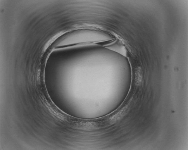 X0000085831066200703301613