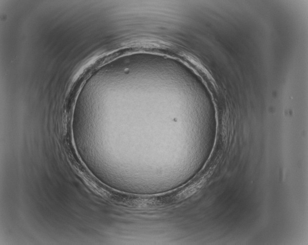 X0000085831067200703301613