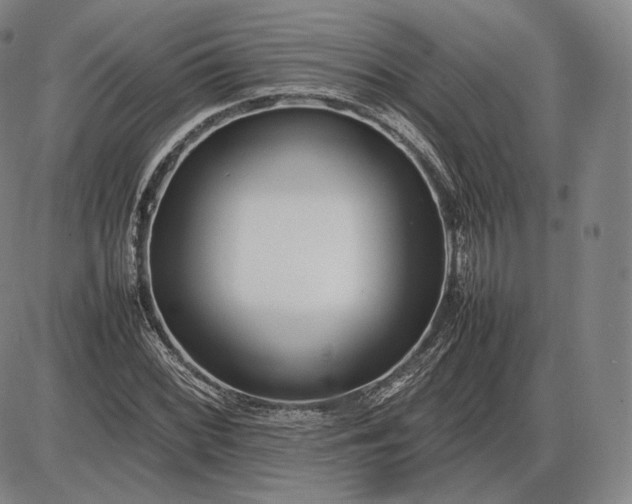 X0000085831068200703301613