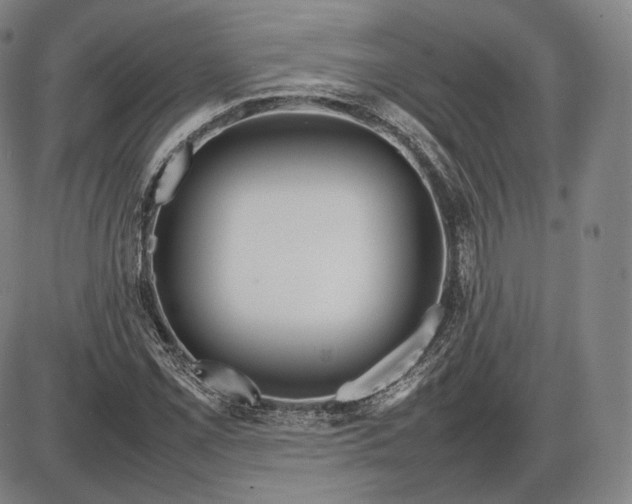 X0000085831069200703301613