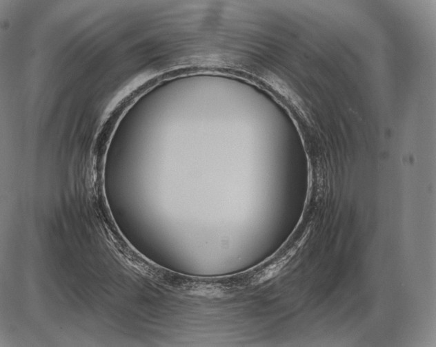 X0000085831070200703301613