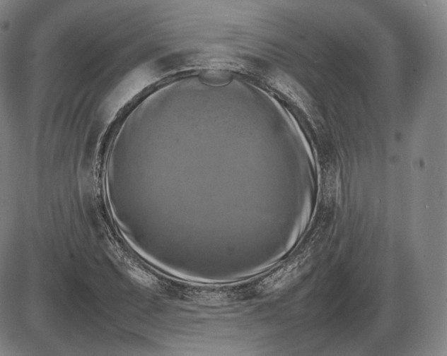 X0000085831071200703301613