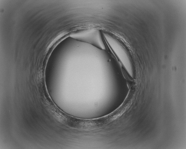 X0000085831073200703301613