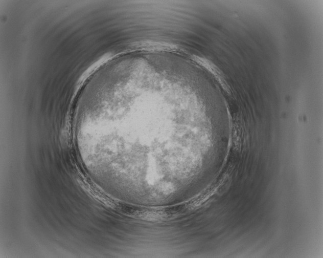 X0000085831074200703301613