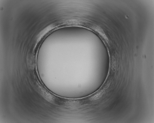 X0000085831075200703301613