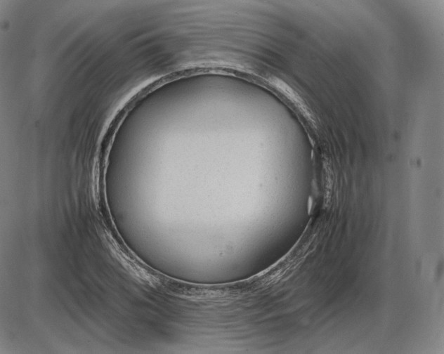 X0000085831076200703301613