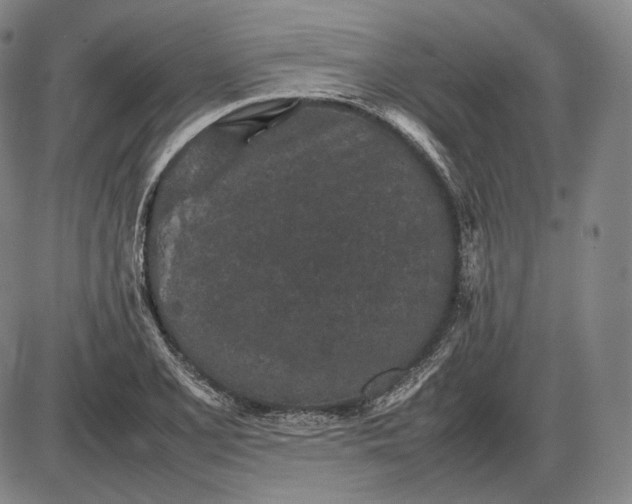 X0000085831077200703301613