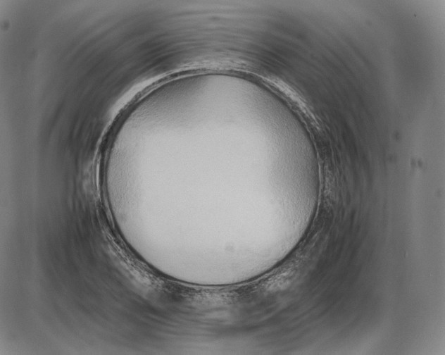 X0000085831078200703301613