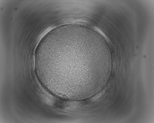 X0000085831079200703301613