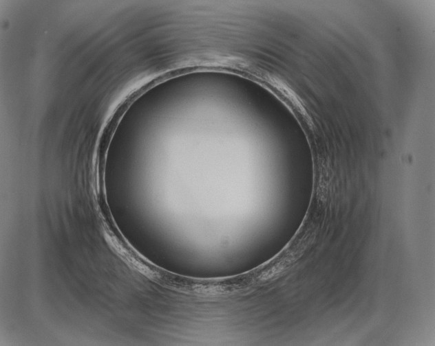 X0000085831080200703301613