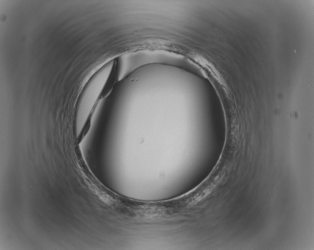 X0000085831081200703301613