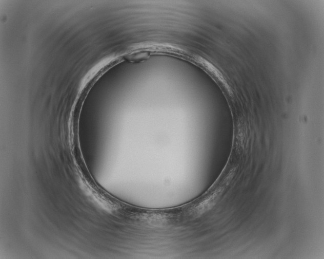 X0000085831082200703301613