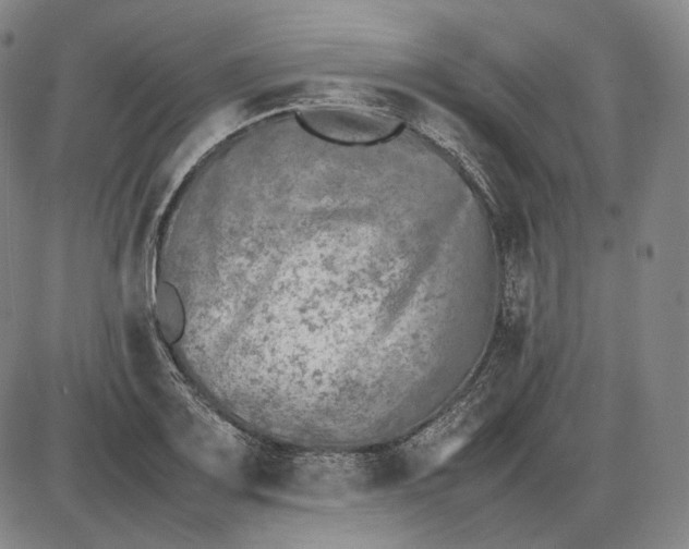 X0000085831083200703301613