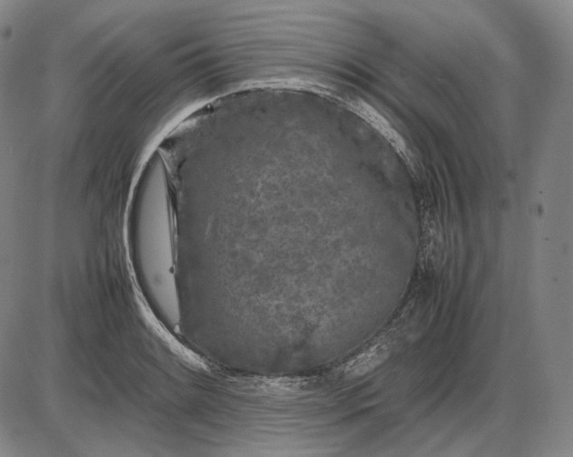 X0000085831084200703301613