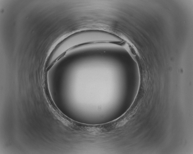 X0000085831085200703301613