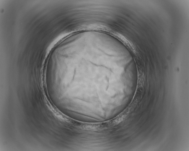 X0000085831086200703301613