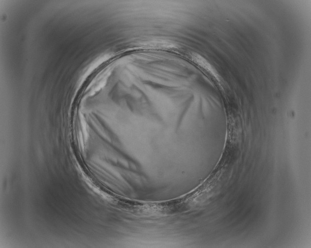 X0000085831087200703301613