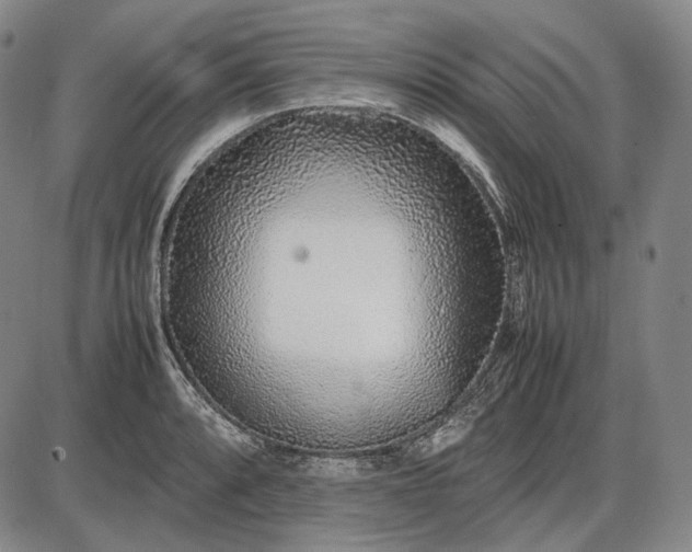 X0000085831088200703301613