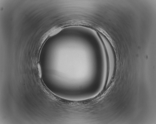 X0000085831089200703301613