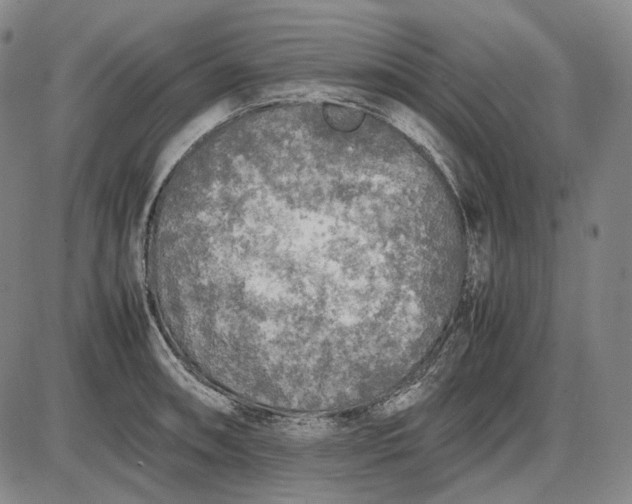 X0000085831090200703301613