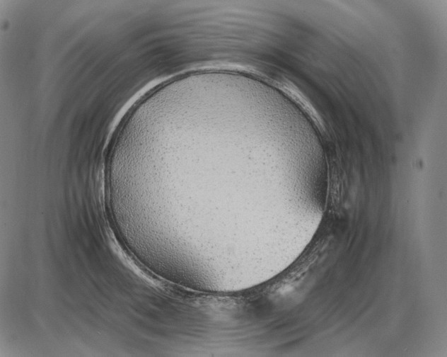 X0000085831092200703301613