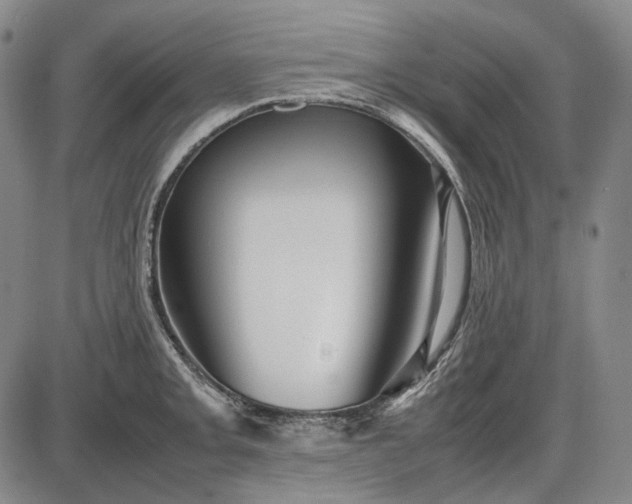 X0000085831093200703301613