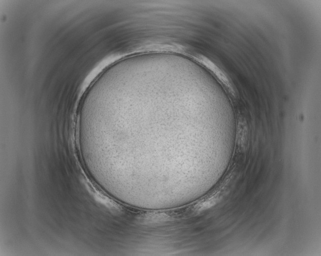 X0000085831094200703301613