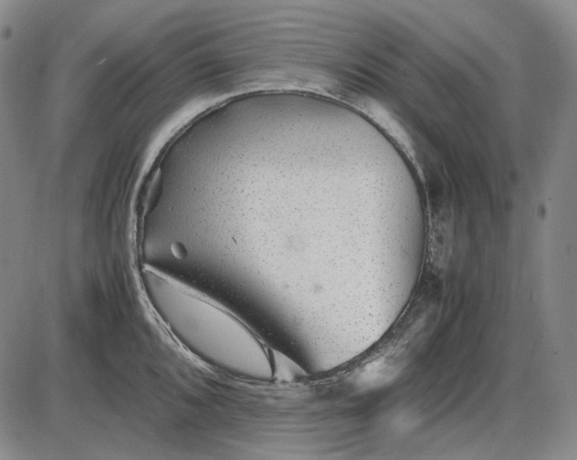 X0000085831096200703301613