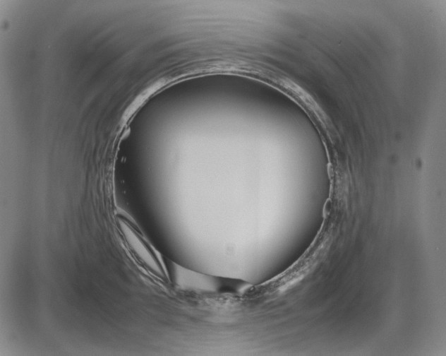 X0000085831097200703301613