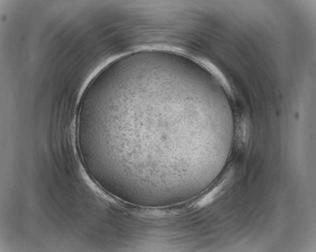 X0000085831100200703301613