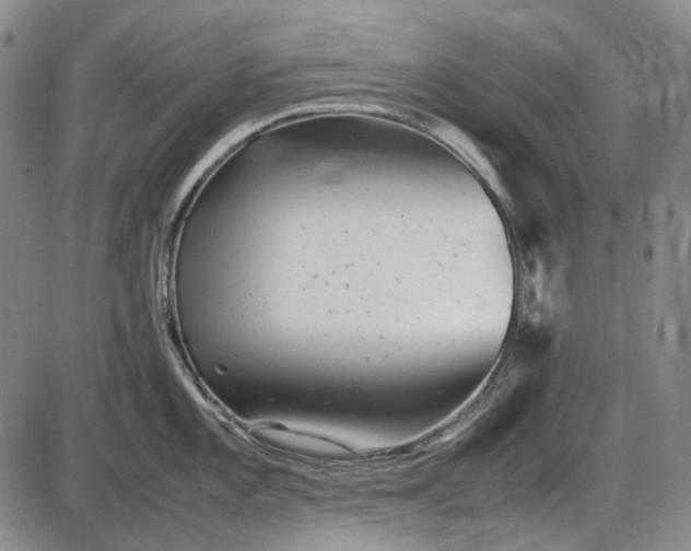 X0000085831101200703301613