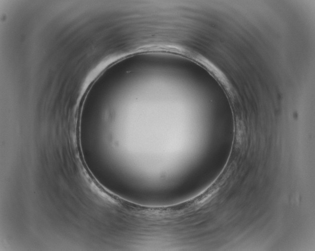 X0000085831102200703301613