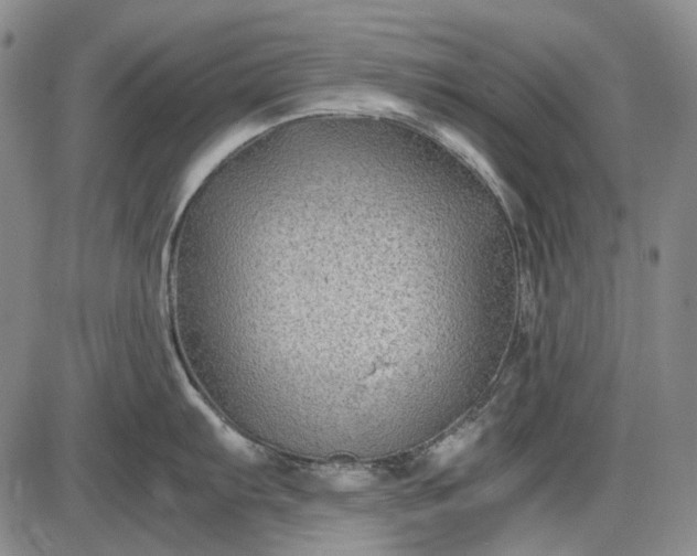 X0000085831103200703301613