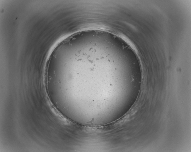 X0000085831104200703301613