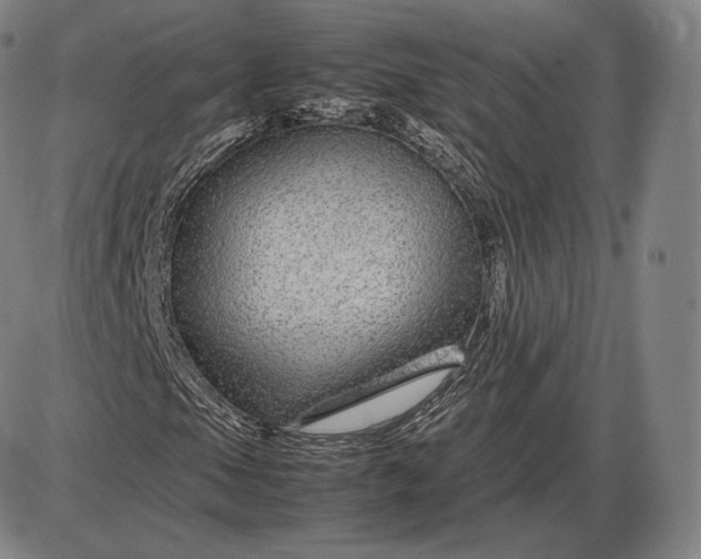 X0000085831105200703301612